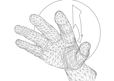 Biométrie de la paume de la main
